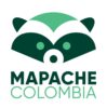 Fundacion Mapache